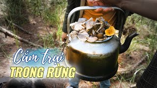 Du lịch Đà Lạt, săn nấm rừng, cắm trại đêm |Du lịch Việt Nam