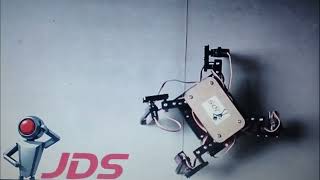 Quadruped Bionic Spider Robot