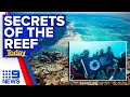 Exploring unseen parts of the Great Barrier Reef | 9 News Australia