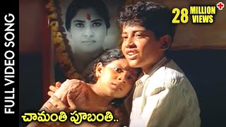 Puttintiki Ra Chelli Movie || Chamanthi Poobanthi Video Song || Arjun, Meena || Shalimarcinema