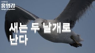 새는 두 날개로 난다 - 김진홍목사 [홍영감]