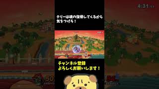 【スマブラSP】テリーは魂の復帰してくるから気をつけろ！