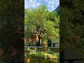 宜蘭北后寺｜南無阿彌陀佛｜觀世音菩薩｜濟公禪師 宜蘭景點 宜蘭 北后寺 南無阿彌陀佛 觀世音菩薩 觀世音 濟公師父 濟公活佛 濟公