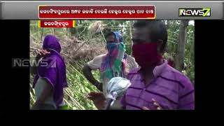 Betel Leaf Farmers Hit Hard by Amphan In Jagatsinghpur