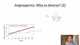 Floral adaptations and angiosperm diversity