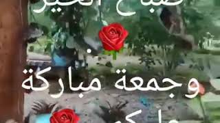 صباحكم نور الجمعه والصلاة والسلام على نبي الأمه♥️