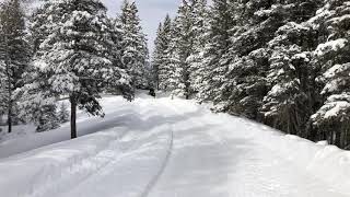 Plowing 20cm of new snow