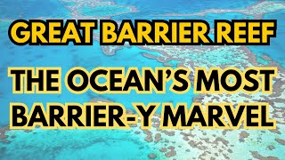 The Great Barrier Reef: An epic (and funny) underwater misadventure