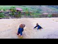 The Terrible Devastation of Typhoon YAGI, Farms against floods, Harvesting sweet potatoes for sale