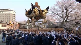 平成31年 北条節句祭り宵宮 東郷屋台お旅所宮入