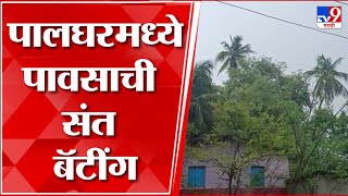 Palghar Rain | पालघर जिल्ह्यातील अनेक भागात पावसाची संततधार