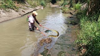 EP141 bihira lang maka huli ng ganitong lamang tubig ang lalapad pa ng mga tilapia