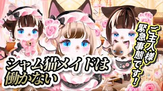 【ポケコロ】猫の日のニャンコロが最上級に可愛い！！早速購入したら史上初とんでもない事が起きた！！【シャム猫メイドは働かない】