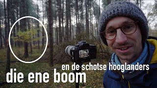 Die ene boom en de schotse hooglanders - HERFST LANDSCHAPSFOTOGRAFIE in DORST