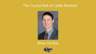 The Crystal Ball of Cattle Markets - Brian Perillat