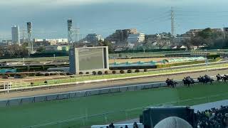 2021.12.26有馬記念　エフフォーリア