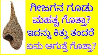 ಗೀಜಗನ ಗೂಡು ಮಹತ್ವ, ಈ ಕೃತ್ಯ ಎಸಗಿದರೆ ಆಪತ್ತು@drtrimurthy