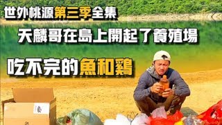 世外桃源第3季全集，天麟哥在島上開起了養殖場，有吃不完的魚和雞. #影视杂谈  #影视 #荒岛求生 #荒野求生 #黄天麒  #野外生存