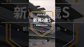 【新潟2歳ステークス 2024】上位5頭予想！少頭数ですが、好メンバーが揃ったと思います。勝つのは果たして！？