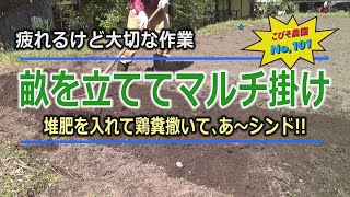 畝立て こびそ農園 No,101