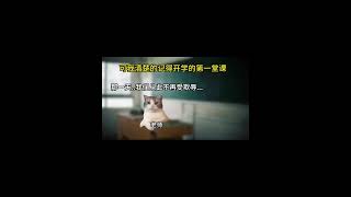 残缺的花苞亦是未来的花朵，拒绝校园霸凌#猫meme  #萌宠 #funny #萌寵  #cat #搞笑 #cute   #治癒小貓 #有趣 #animals  #搞笑短視頻合集