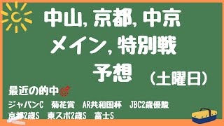 🌠土曜日メイン,特別戦予想🌠ステイヤーズS、チャレンジC、飛騨S　全8レース予想🎯