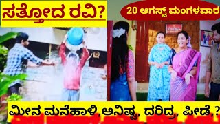 ತವರುಮನೆ ಮತ್ತು ಗಂಡನ ಮನೆಯಲ್ಲಿ ಜಾಗವಿಲ್ಲದೆ ಮೀನ | ರೋಡಿಗೆ ಬಂದಳು ಮೀನಾ | ರವಿ ಶೃತಿ ಗೆಸ್ಟ್ ಹೌಸ್