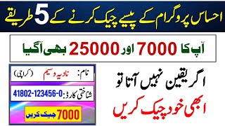 Ehsaas Program Ke Paise Kaise Check Karen | BISP Payment Check By CNIC | 7000 Check Karne Ka Tarika