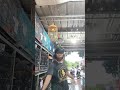 update stock sore hari di satria birdshop sisa burung apa aja ya mari nyimak