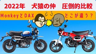 【DAX125】圧倒的モンキー対ダックス比較、どこが違うのか？が分かる動画【Monkey125】