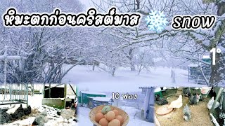 พาชมวิถีชีวิตบ้านๆในชนบทต่างแดน/ ปีนี้หิมะตกก่อนคริสต์มาส#snow #วิถีชีวิตในต่างแดน