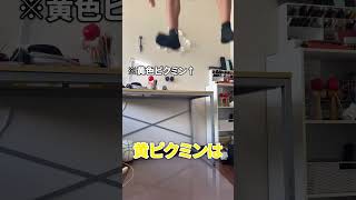 【ピクミン】ピクミンの色によっての個性の違い#shorts#種子の歌