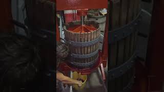 Wine Press | Winemaking and How Wines is Made! #shorts #fyp