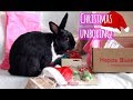 Unboxing our first Christmas Gift! | Happy Bunny Club