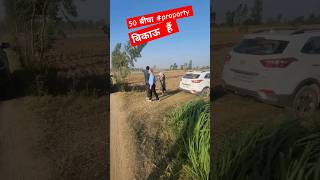 50 bigha land for sale #shortsvideo #agripower #proparty