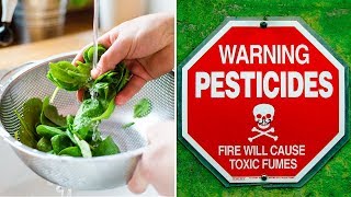 The Right Way to Remove Pesticides from Fruits and Vegetables Naturally