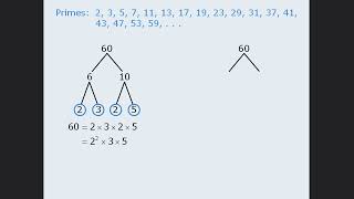 GRE Math - Unveiling Prime Numbers and Divisors: Concepts and Strategies for GRE and GMAT