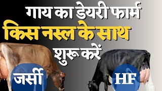 hf cow Vs jersey cow | डेयरी फार्म के लिए कोनसी गाय सहीbest dairy cow breed