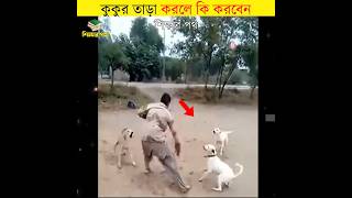 কুকুর তাড়া করলে কি করবেন || amazing facts about dogs || #shorts #dog #শিক্ষারপথ #factshorts #animals