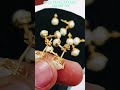 pearl stud earrings gold jewelry 22k 18k 14k