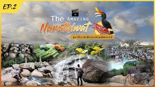 สารคดีเชิงท่องเที่ยว [EP.2] - The Amazing Narathiwat : นราธิวาสเมืองแห่งมหัศจรรย์