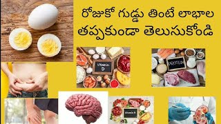 రోజుకో గుడ్డు తింటే ఇన్ని లాభాలా || benefits of eating egg 🥚 daily #trending video