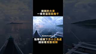 僅憑一個假餌，20秒釣出4條東星斑，還有一條值幾千的老鼠斑！#shorts