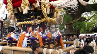 ２０１５年百舌鳥八幡宮ふとん太鼓（赤畑町宮入　本殿前-2）