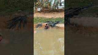 reels catch fish តោះចាប់ត្រី #shortsviral #fishing #viral #video #pleasesubscribe #food