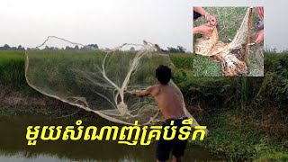 បង់សំណាញ់បានត្រីច្រើនណាស់ Net Fishing । Traditional Cast Net Fishing In Pond। (Part 120)