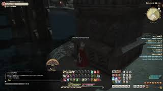 【FF14】ラールガーズリーチ登山 初級！？