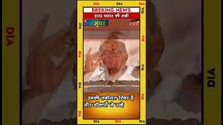 cin-शरद पवार की तबीयत बिगड़ी #shortvideo #cinnewsnetwork #breakingnews