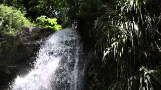 Saint Lucia's Waterfalls