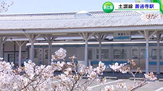 【シリーズ・駅舎と桜】土讃線・善通寺駅「知られざる歴史」